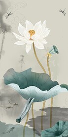 荷花玄关