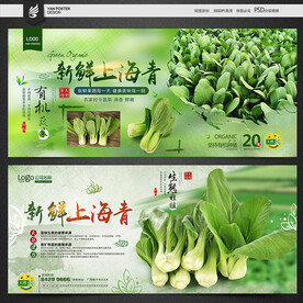 青菜
