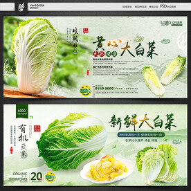 大白菜