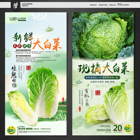 大白菜