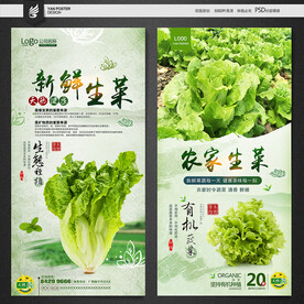 生菜