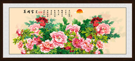 富贵花开