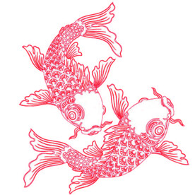 鲤鱼