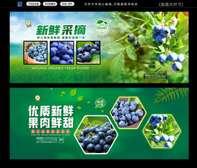 蓝莓