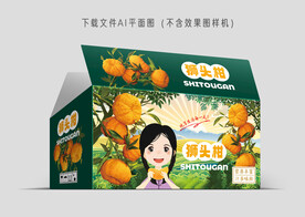 狮头柑彩盒