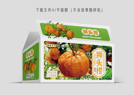 狮头柑礼盒