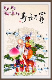 老寿星