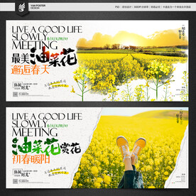 油菜花