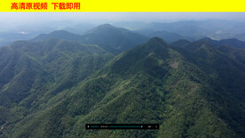 森林大山