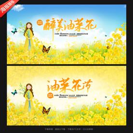 油菜花