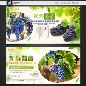 葡萄