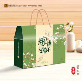 粽子包装 端午礼盒