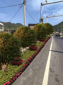 绿化改造设计效果图