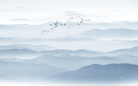 现代简约电视背景墙