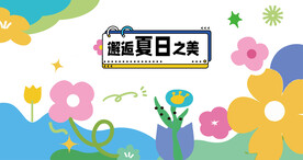 夏日dp美陈