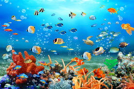 海底世界