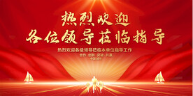 热烈欢迎领导展板