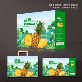 菠萝包装