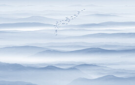 新中式意境山水水墨画