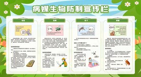 夏季除四害知识科普