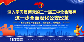 学习二十届三中全会精神展板