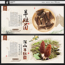 羊肚菌