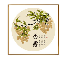白露