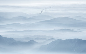 山水水墨画背景墙