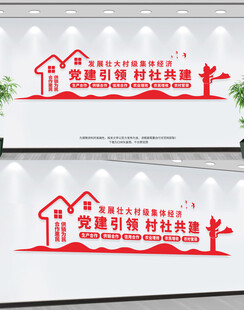 党建引领村社共建