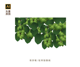 奇异莓插画