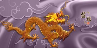 龙金龙飞龙中国龙