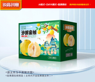 柚子包装 蜜柚礼盒