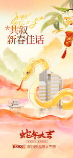 地产春节海报 