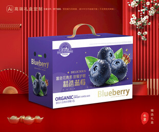 蓝莓包装 水果礼盒