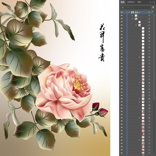 牡丹花