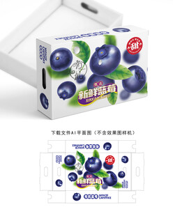 蓝莓设计