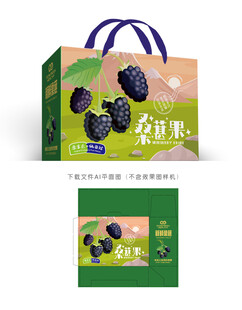 桑葚礼盒 