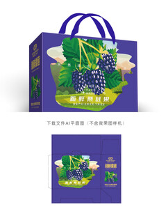 桑葚设计
