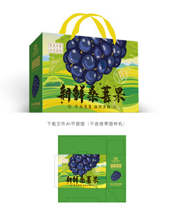 桑葚包装
