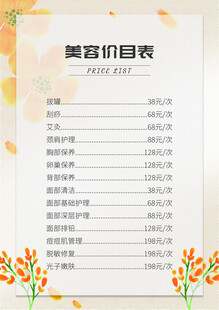 美容项目价目表设计模板