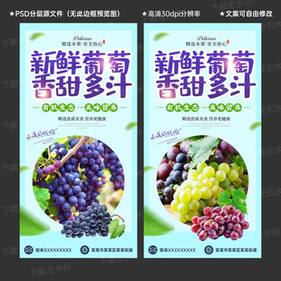 葡萄海报