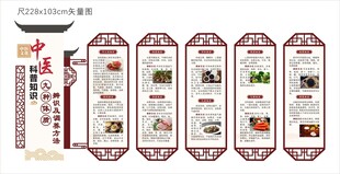 中医九中体质养生文化墙