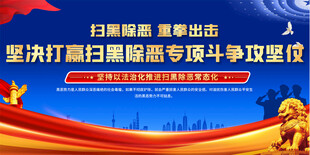 扫黑除恶活动背景