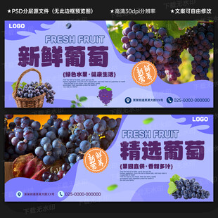 葡萄海报