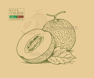 手绘矢量哈密瓜