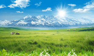 雪山蓝天白云大草原