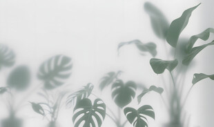 雾气磨砂膜效果绿植贴图