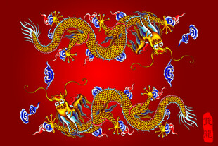 龙 