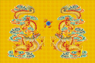 龙 