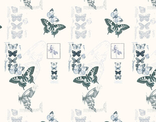 蓝白蝴蝶花卉图案背景